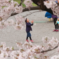 春風の中で２