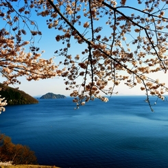 奥琵琶湖春色