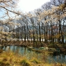 奥琵琶湖・水辺の風景