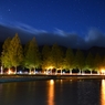 夜中のメタセコイア並木夜景