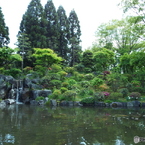 日本庭園4