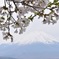 富士山~山中湖からの景色~
