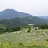 田園風景 - 丸山千枚田２