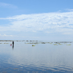 鵜ノ岬海岸の写真