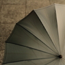 an umbrella