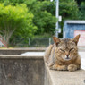 大沢くん、元気そうです