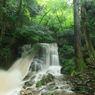 新緑と雨の滝