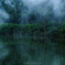 朝霧湧く自然湖の朝
