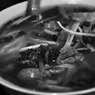 hanoi-monochrome6