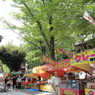 大國魂神社のすもも祭り4