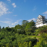 青空と郡上八幡城