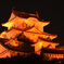 オレンジ色の姫路城 10