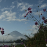富士に朝の挨拶