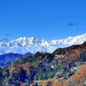 雪山と紅葉