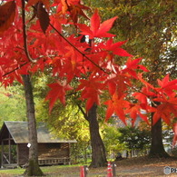 月の石もみじ公園8