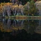 秋暁の木戸池