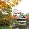 紅葉の日本庭園1
