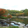 紅葉の日本庭園2