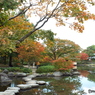 紅葉の日本庭園3