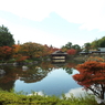 紅葉の日本庭園6