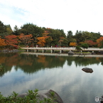 紅葉の日本庭園7