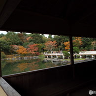 紅葉の日本庭園10