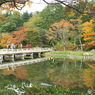 紅葉の日本庭園11