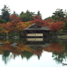 紅葉の日本庭園12