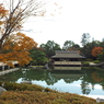 紅葉の日本庭園13