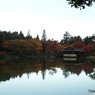 紅葉の日本庭園14