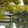 紅葉の日本庭園15