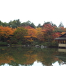 紅葉の日本庭園16