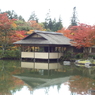 紅葉の日本庭園17