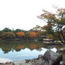 紅葉の日本庭園18