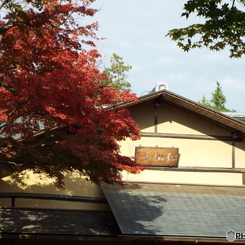 紅葉の日本庭園29