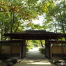 紅葉の日本庭園30
