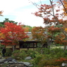 紅葉の日本庭園32