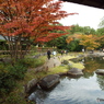 紅葉の日本庭園38