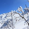  冠雪の立山