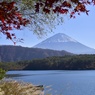 西湖と富士