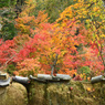 大本山永平寺御直末　五鈷山光明寺