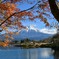 湖畔の秋