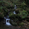 柳の滝　渓流