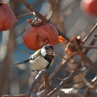 種刺さった！？　DSC_1450