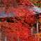 石道寺の秋景