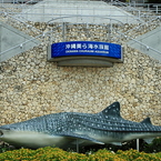 沖縄美ら海水族館