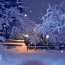 夜の神社の雪景色