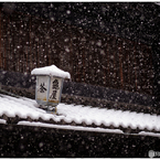 「みんな雪の中04」小江戸川越散歩142
