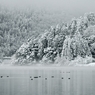 余呉雪景