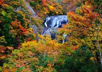 袋田の紅葉